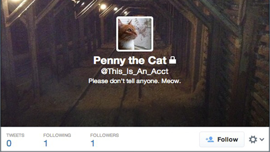 twitter_privacy